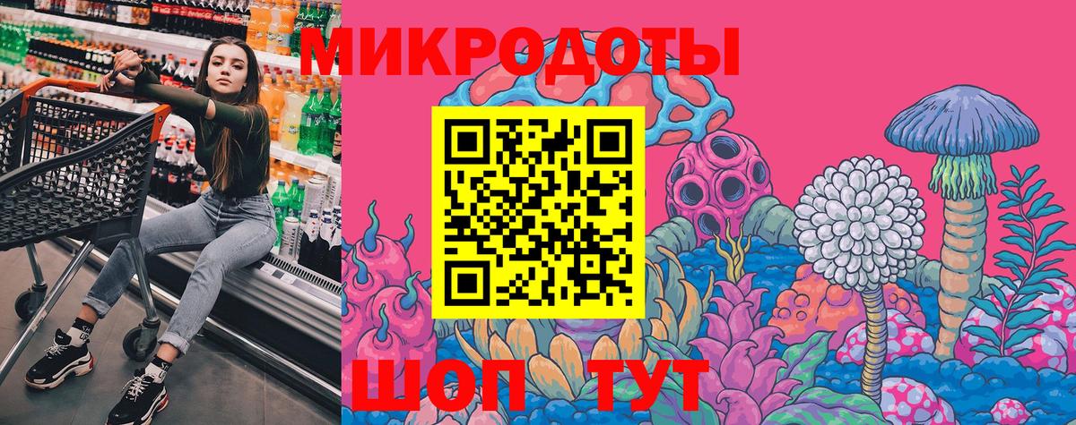 Псилоцибиновые грибы Psilocybe  Вход с VPN  Конаково  Псилоцибиновые грибы мухоморы 